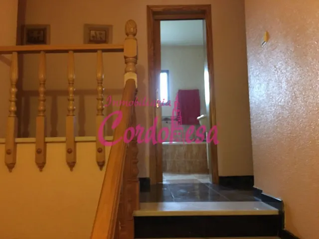 MAGNIFICA CASA EN ALCOLEA. — 30