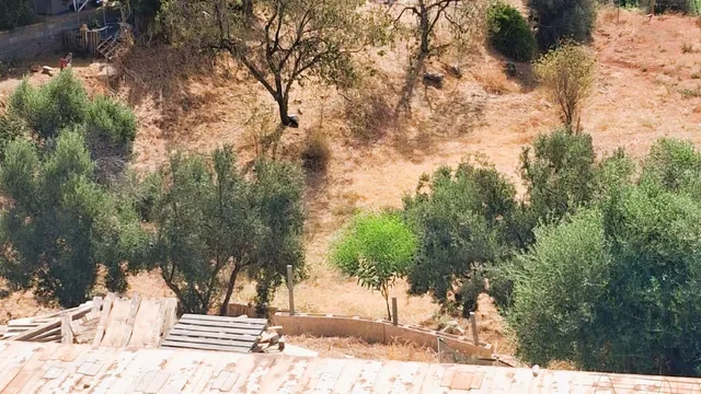 Finca rústica 3 habitaciones 120m² en venta - Marbella — 21