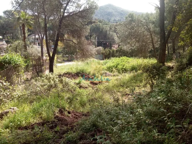 PARCELA URBANIZACIÓN JARAS - foto 4