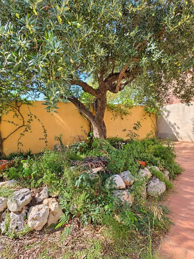 Parcela urbana de 140 m2 en Cambrils, con posibilidad de construir una vivienda de hasta tres plantas — 6