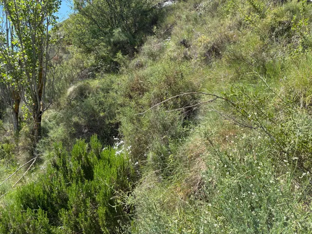 PARCELA URBANA EN VENTA EN UNCASTILLO - 17.700 M2 — 32
