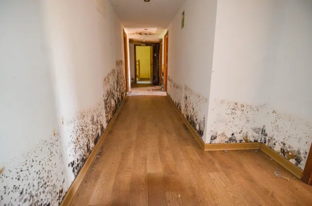 Urbis te ofrece un edificio, en venta en la Moretona, Ciudad Rodrigo, Salamanca. — 39
