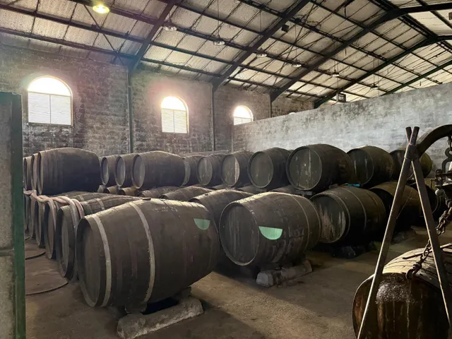 Viñedo de 24,40ha 1300m2 naves y 400m2 restaurante — 36