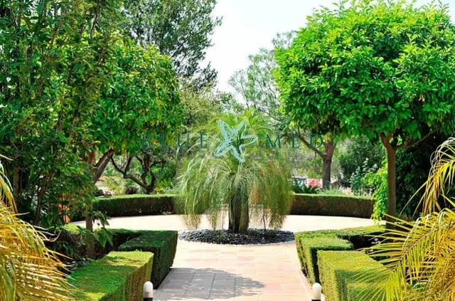 IMPRESIONANTE CHALET EN URBANIZACIÓN ALTORREAL - foto 5