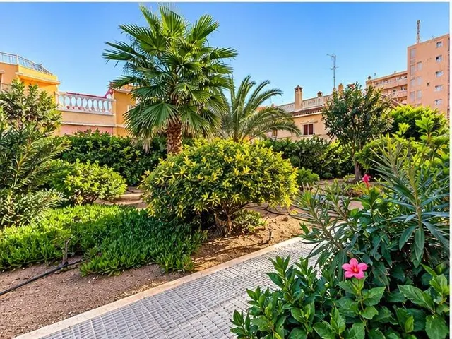 Apartamento de 2 dormitorios en venta en La Mata, Torrevieja, a pocos pasos de la playa — 6