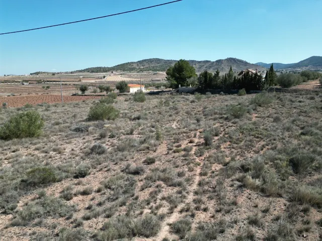 Terreno en venta en Pinoso, Alicante | Parcela rústica - foto 2