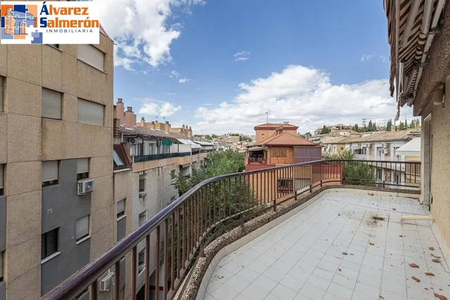 Pisazo en paseo del salón - Granada — 34