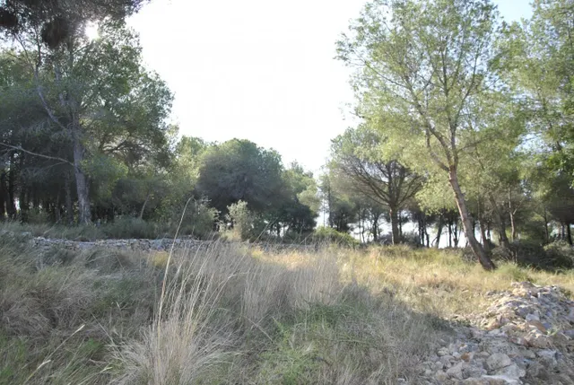 Parcela Rústica en el municipio de Cubelles, 5.560 mts2 Corral d'en Cona — 14