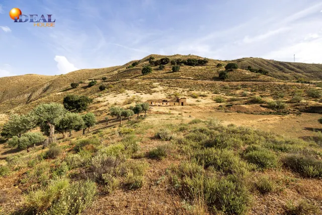 En Venta Maravilloso Paraje Natural, a medio camino entre Granada y Sierra Nevada, a veinte minutos en coche, desde cada una de ellas. — 18