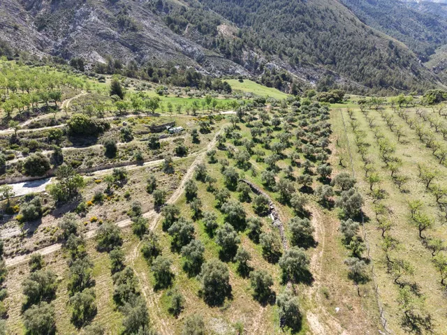 Magnífica finca de 400 olivos en Monachil — 3