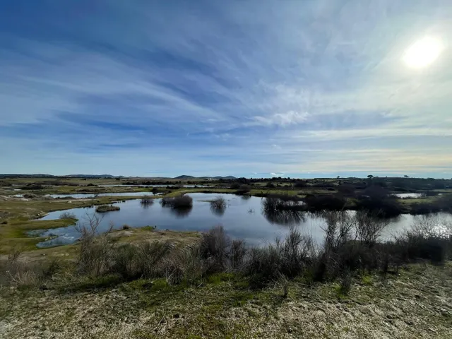 TERRENO DE 30 HECTÁREAS CON VIVIENDA DE UNOS 50 METROS ENTRE CÁCERES Y MALPARTIDA DE CÁCERES — 17