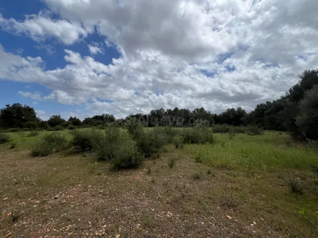 Terreno en Sencelles para construir - foto 2