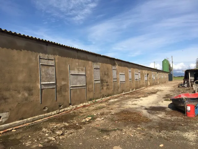 GRANJA AVICOLA,CASA Y ARROZAL EN VENTA!!! — 10