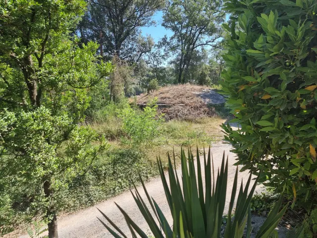 Cinco Casas mas terreno edificable en venta — 16