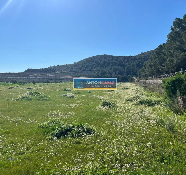 Terreno rústico edificable en Aspe - CAMINO VIEJO — 11