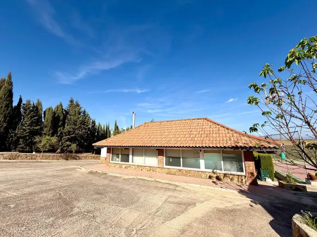 Finca en Mollina con casa, piscina, pista de tenis y 7.000 m2 de olivar. — 28