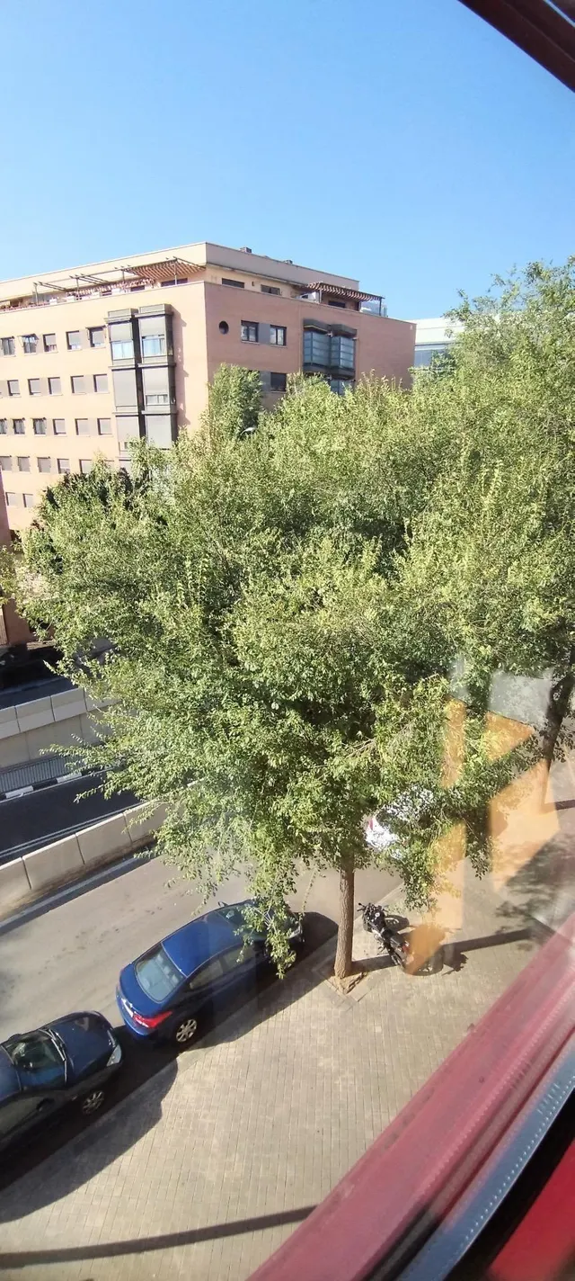 Piso 3 habitaciones 98m² en venta - Delicias — 8