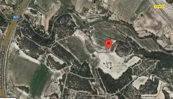 FINCA RUSTICA EN VENTA EN CASTALLA ALICANTE
