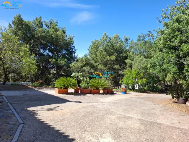 Finca con vivienda, naturaleza y vistas a la sierra y al mar - foto 2