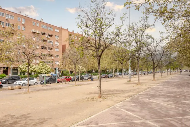 OPORTUNIDAD UNICA DE ALQUILER EN AVDA JOAQUINA EGUARAS (GRANADA) — 11