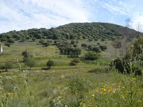 Finca rústica 999999m² en venta - Sevilla - foto 2