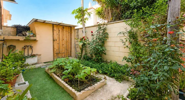Casa con jardín privado, solárium y gran potencial en Ciudad Quesada — 26