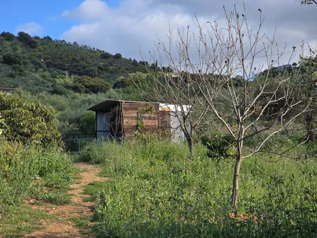 Excepcional Casa de Campo en Puerto Falso, Coín – Ideal para - foto 5