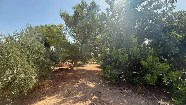 CASA DE CAMPO EN CORVERA CON 5.400 M2 DE PARCELA — 28