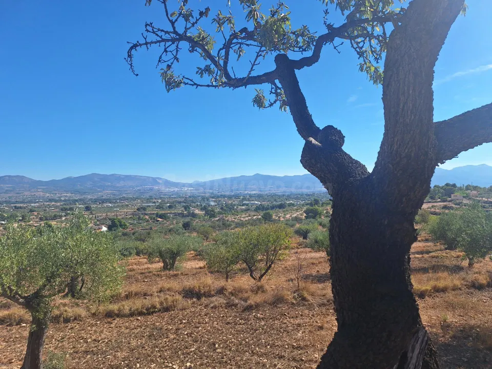 Finca rústica con olivos, almendros y vistas al castillo, a 3 km de Castalla — 10.000 €