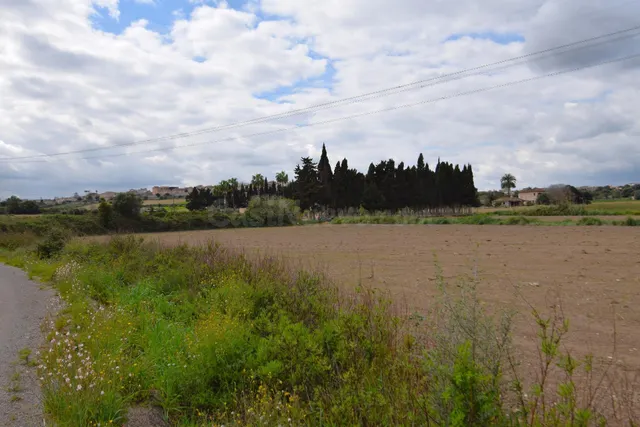 Finca rústica con proyecto aprobado para la construcción de  - foto 5