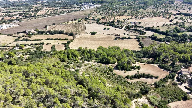 Terreno rústico de 10.000m2 en son quetlles, Felanitx — 18