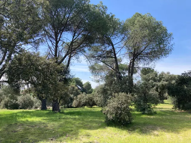 Magnífica parcela para casa unifamiliar en Urb. Encinas (Fin - foto 3
