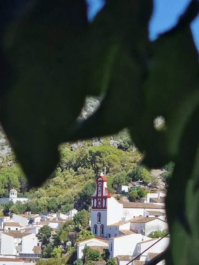 VENTA DOS VIVIENDAS UBRIQUE. ZONA LOS PINITOS — 7