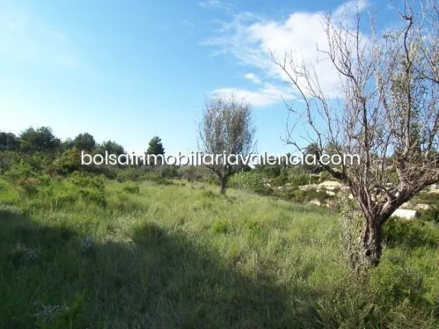 Terreno rural 8000m² en venta - La Raiosa — 20