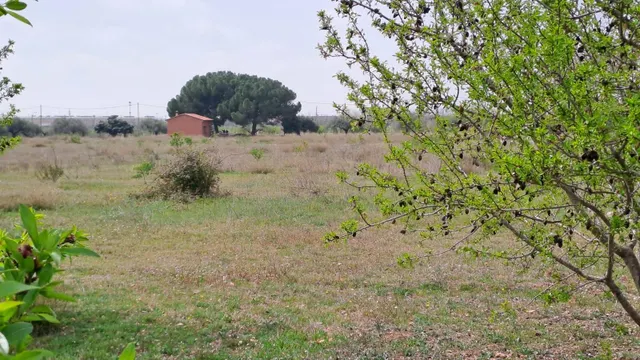 Finca rústica en venta en Constanti — 11