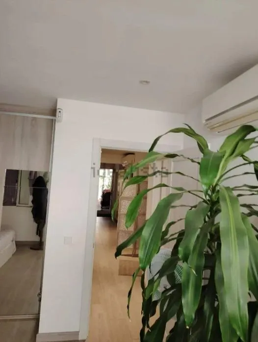 OPORTUNIDAD ÚNICA EN SON RAPINYA – PALMA DE MALLORCA — 9
