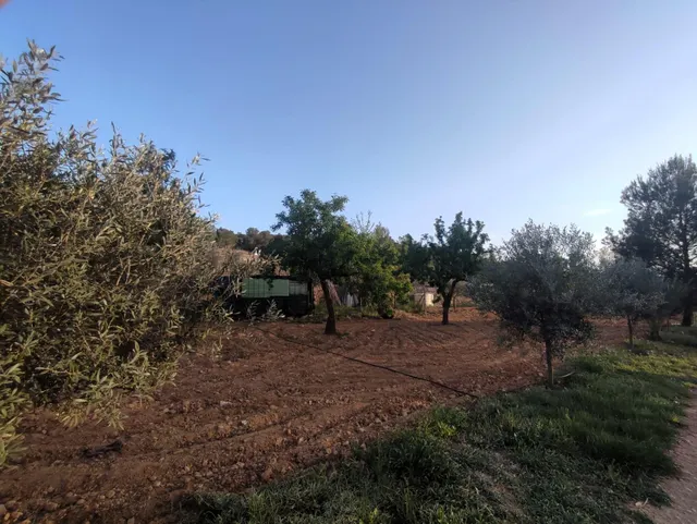 Casa de campo con 5.170 m2 de parcela a 9 min de Pinoso — 8