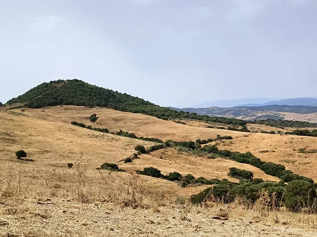 Finca Agrícola 800m² en venta - Riviera del sol — 12