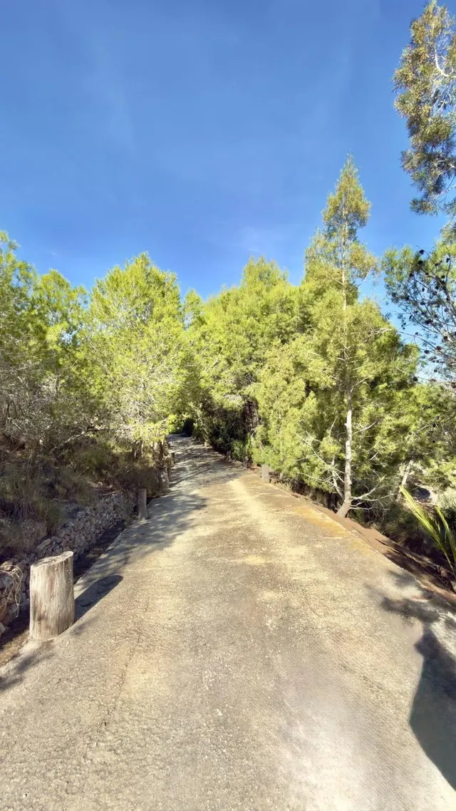 Finca rural con casa, casa auxiliar y 350 oliveras | los valientes — 23