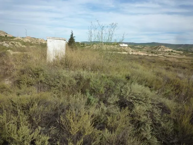 OCASION : FINCA A 5 MIN. DE MURCIA - 38.434 m2, VALLADA, BUE - foto 3
