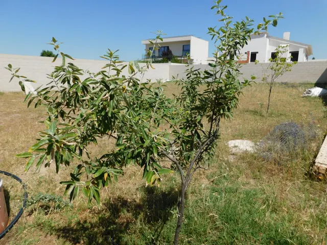 Terreno Urbano Libre de 500m2 Urbanización El Chaparral — 14