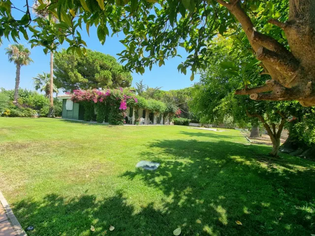 Maravillosa casa con jardín mas casa invitados — 6