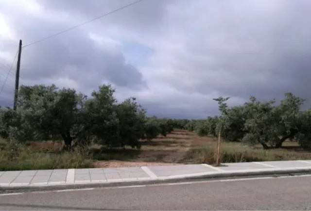 13.000M2 de suelo urbano en Martos para edificación plurifamiliar y comercial — 6