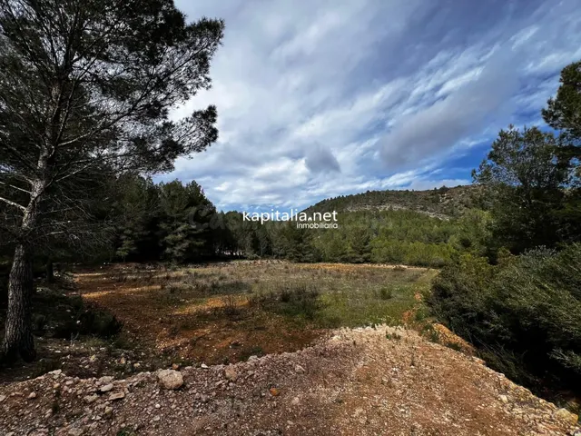 Terreno a la venta en Olleria