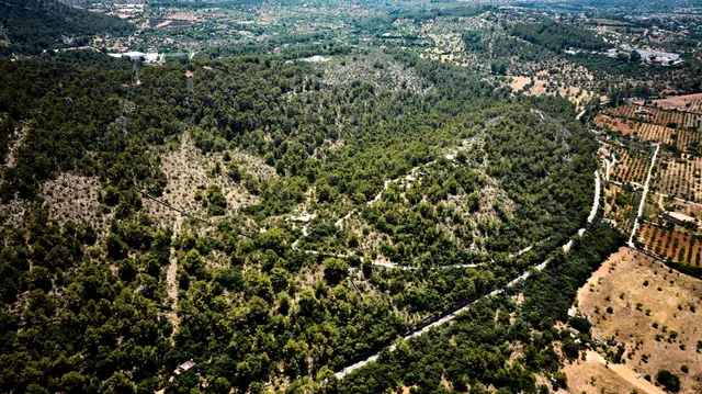 Finca única en plena naturaleza — 9