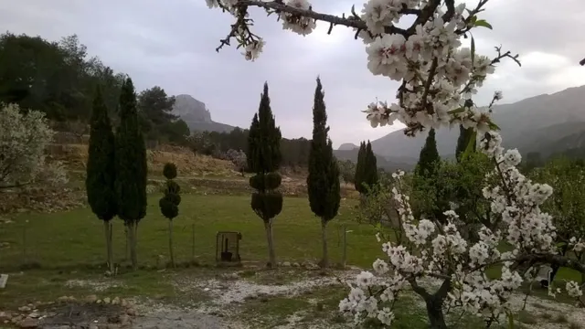 Parcela en Benissa partida Viniyent — 4