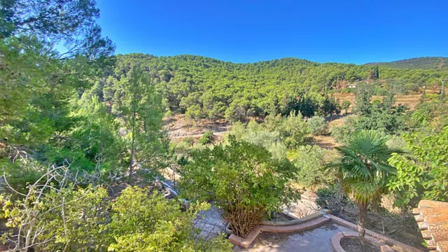 ESPECTACULAR FINCA DE 32 HECTAREAS IDEAL PARA DESCONECTAR O INVERSION PARA COMPLEJO RURAL — 25