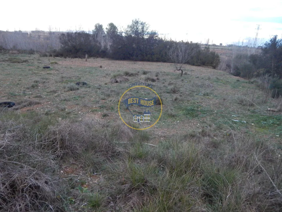 OPORTUNIDAD DOS PARCELAS A LA VENTA EN OLLERIA