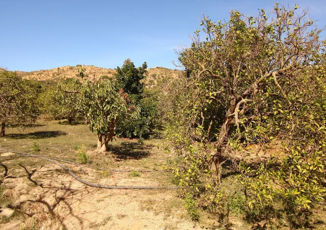 Finca rústica 2 habitaciones 62m² en venta - South of spain — 14