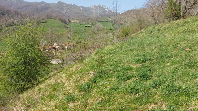 Venta terreno rustico en Caloca - foto 5